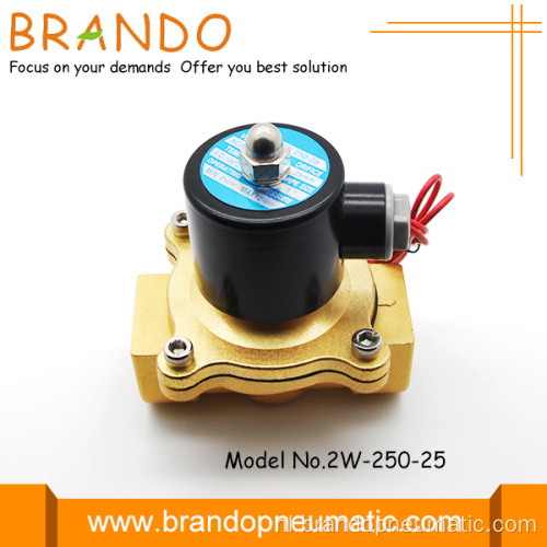 Twee directe manier station Brass solenoïde ventiel voor vers Water